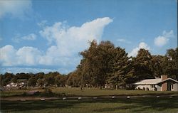Lakeside Promenade Cottages, The Bridge, Docks Postcard