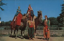 Camel Rides in Vilas Park Postcard