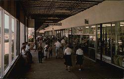Northway Mall Shopping Center Postcard