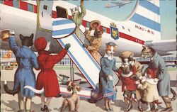 Cats Saying Goodbye, Miau-Miu Airlines Postcard