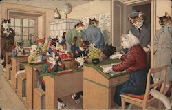 CATS IN SCHOOL NEW YORK, NY Dressed Animals Postcard Postcard Postcard