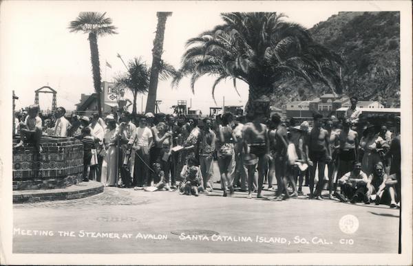 Meeting the Steamer at Avalon, Santa Catalina Island California