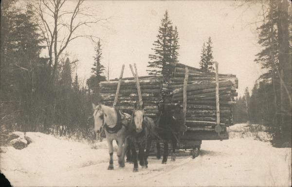 Horses with Sled of Cut Wood Roosevelt Minnesota