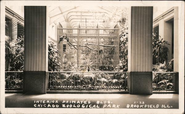Interior Primates Building, Zoological Park Chicago Illinois