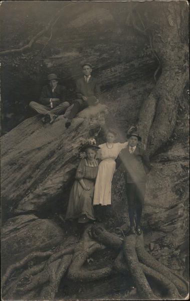 Young Men and Women Stand on Massive Gnarled Tree Roots and Rocks Panama New York