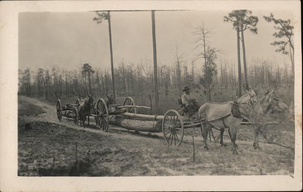 Mules Towing Huge Logs Horses