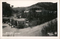 Bird Park Santa Catalina Island Postcard