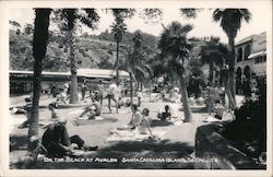 On the Beach at Avalon Santa Catalina Island, CA Postcard Postcard Postcard