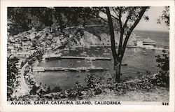 Avalon, Santa Catalina Island Postcard