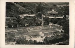 Bird Aviary Postcard