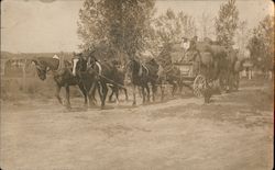 Team of Horses Hauling Large Load Postcard