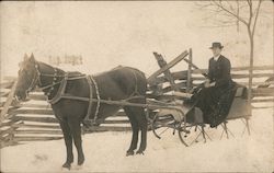 Bells Around Neck Horse-Drawn Sleigh Postcard