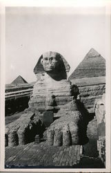 Great Sphinx of Giza Postcard