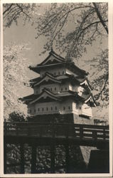 View of Japanese Pagoda, Cherry Blossoms Postcard