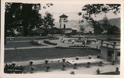 Public Garden Postcard