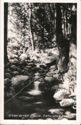 Strawberry Creek Postcard