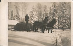 Two Horses Pulling Man Standing on Hay Postcard