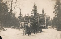 Horses with Sled of Cut Wood Postcard