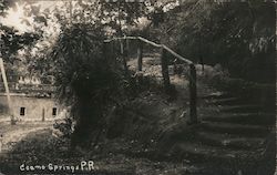 Coamo Springs, Puerto Rico Postcard Postcard Postcard