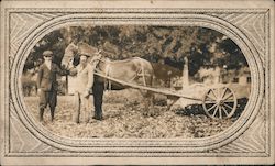 Two men pose with their horse in field Postcard