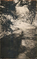 Snowy frozen creek seen through bare tree branches Postcard