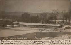 Lower Mill Dam, Tioga County Candor, NY Postcard Postcard Postcard