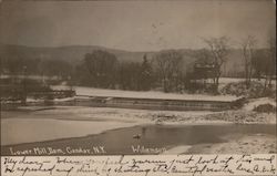 Lower Mill Dam, Tioga County Postcard