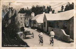 Road Scene in Paget Postcard