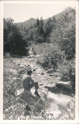 Mill Creek, Forest Home Postcard