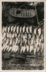 Our Catch Here. Eastman's Studio Postcard