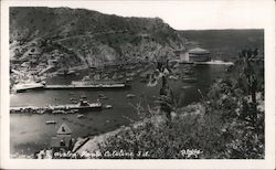 Avalon Punta Catalina Postcard