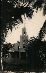 Beautiful Church Amongst the Palms Postcard