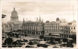 Central Park Postcard