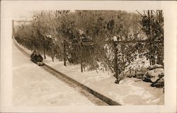 Tobogganers Speed Down a Lined Track in Winter Postcard