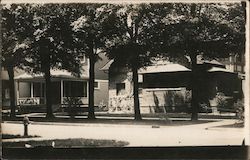 Two-Story Houses on a Street Lined with Large Trees Postcard