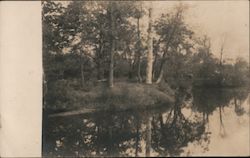 River bank with trees, still water Wattsburg, PA Postcard Postcard Postcard