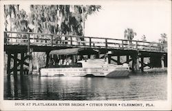 Duck Boat at Platlakaha River Bridge, Citrus Tower Postcard