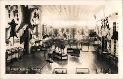 Morse Museum Postcard