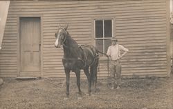 Man holding horse reigns in front of a building Postcard