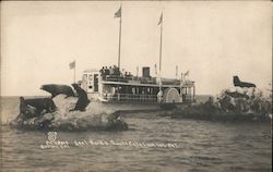 Seal Rocks Santa Catalina Island, CA Postcard Postcard Postcard