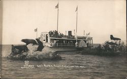Seal Rocks Santa Catalina Island Postcard