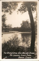 The Beautiful Des Moines River--The Ledges State Park Postcard