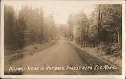 Highway Scene in National Forest Postcard