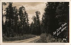 The Echo Trail Ely, MN Postcard Postcard Postcard