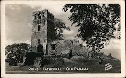 Stock #905143 Thumbnail