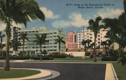 Some of the Magnificent Miami Hotels Miami Beach, FL Postcard Postcard Postcard