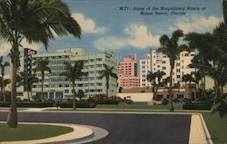 Some of the Magnificent Miami Hotels Postcard