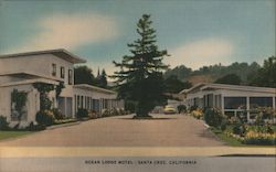 Ocean Lodge Motel Santa Cruz, CA Postcard Postcard Postcard