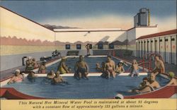 Natural Hot Water Mineral Pool Postcard