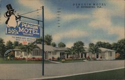 Penguin Motel St. Petersburg, FL Postcard Postcard Postcard